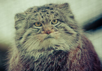 想进行竞争分析吗?以下是你应该做的7个理由