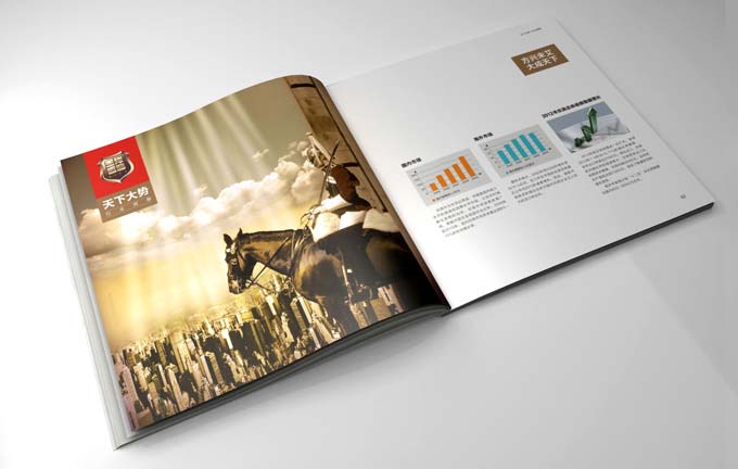 /m0299/?anli/34.html