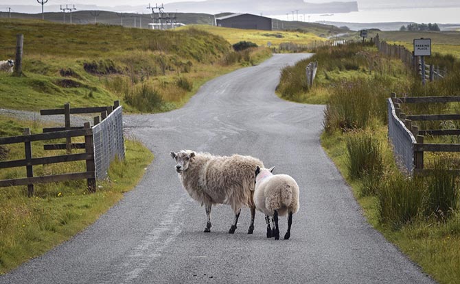 好模板网 - hmb58.com