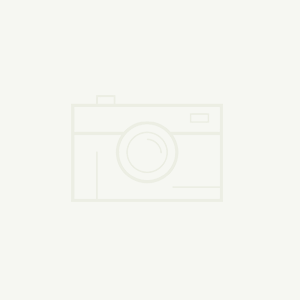 从建站到seo优化的整体思路